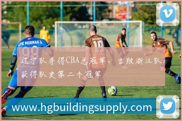 辽宁队夺得CBA总冠军,击败浙江队获得队史第二个冠军