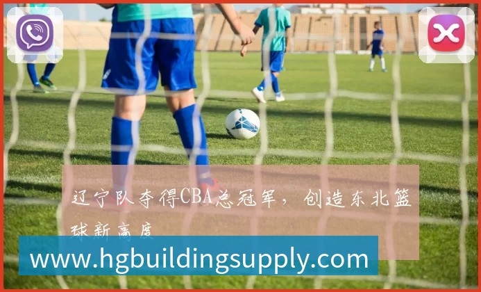 辽宁队夺得CBA总冠军，创造东北篮球新高度